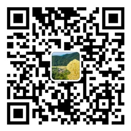 口袋牛店体彩官方下载